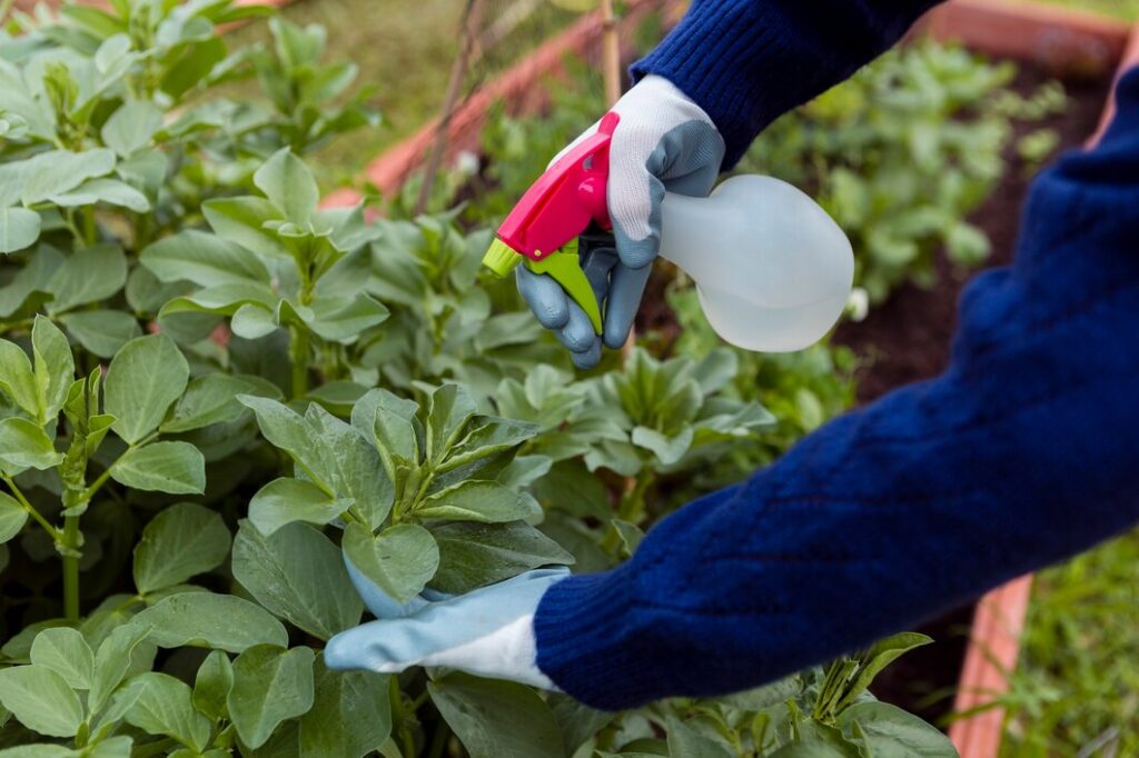 pictoram herbicide near me albuquerque nm​